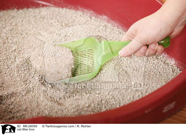 cat litter box / RR-28090