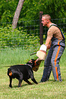 guard dog education