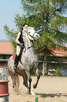 woman rides arabian horse