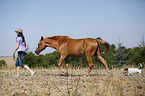 woman with horse