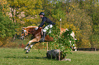 competition