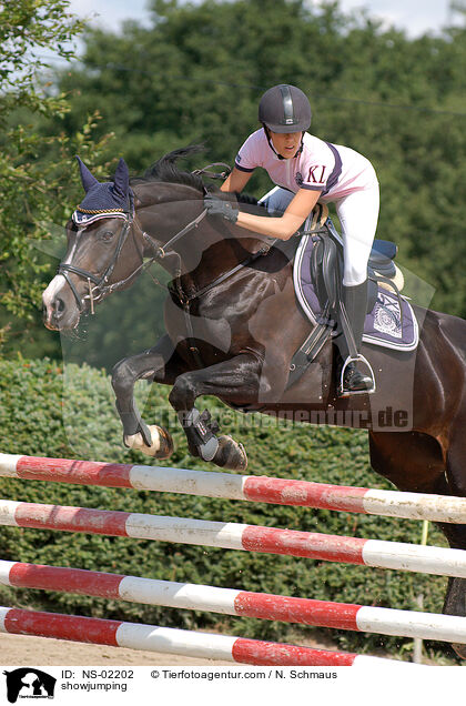 Springreiten / showjumping / NS-02202