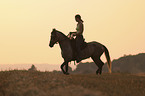 Leisure rider