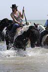 bathing with horse
